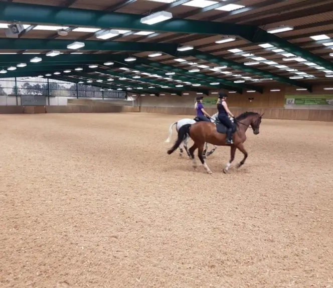 Arena Hire - Must be booked in advance of payment
