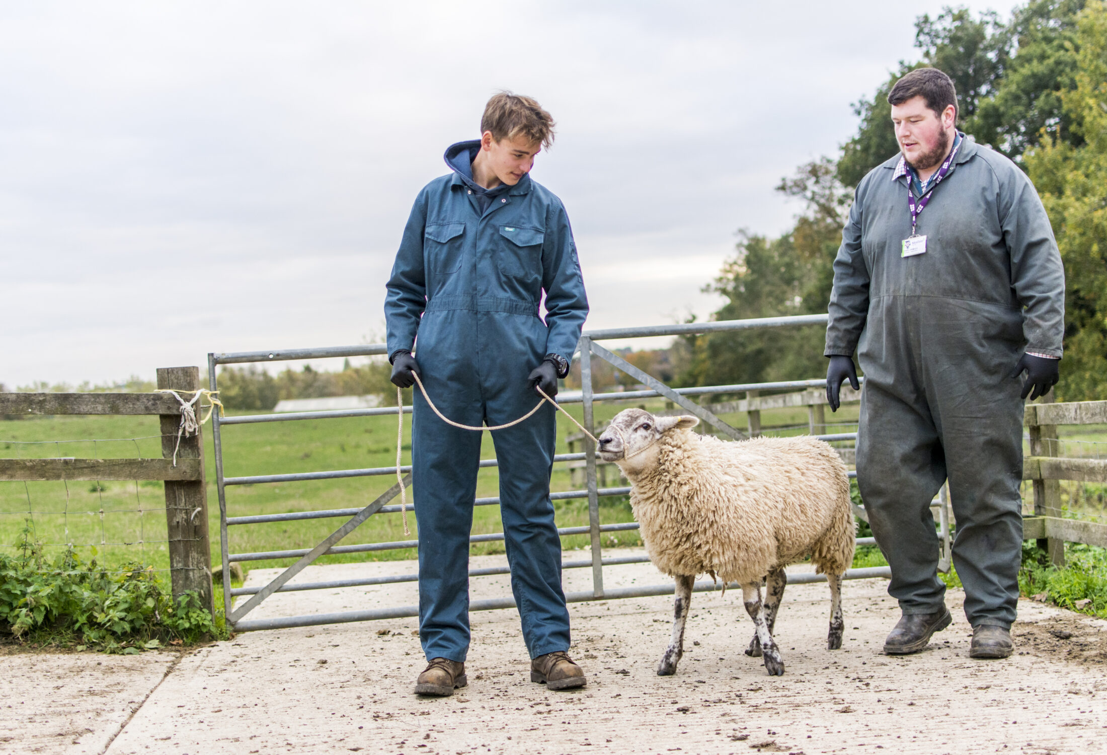 Moulton College Agriculture 2