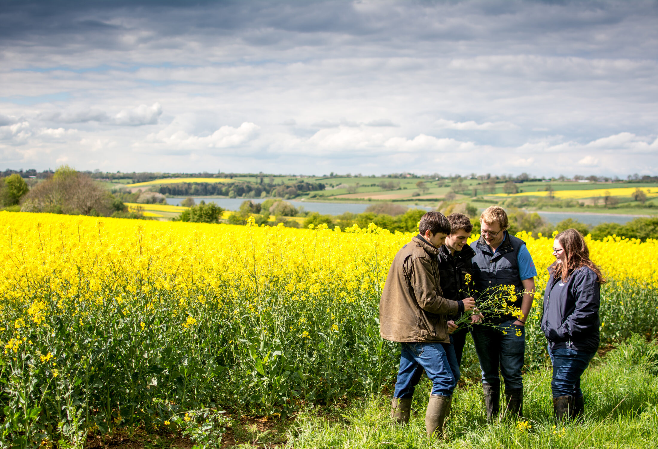 Students in field examining crop
