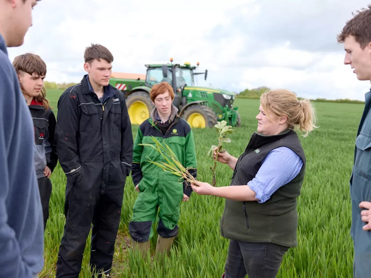 Agriculture students and tutor looking at crops with tractor in background