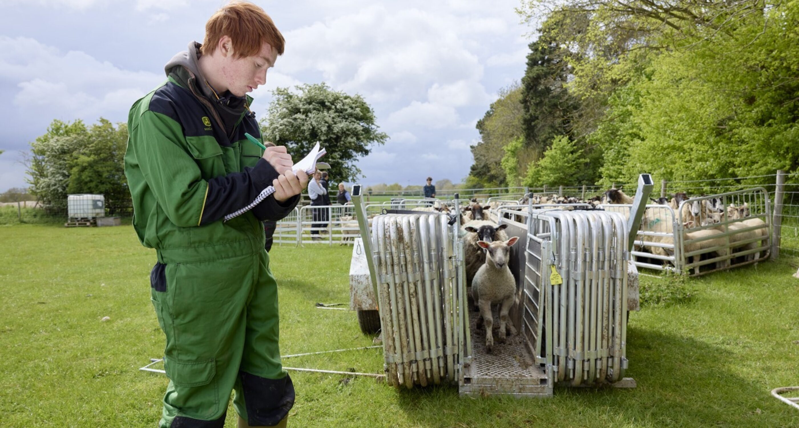 moulton college farm student counting sheeps