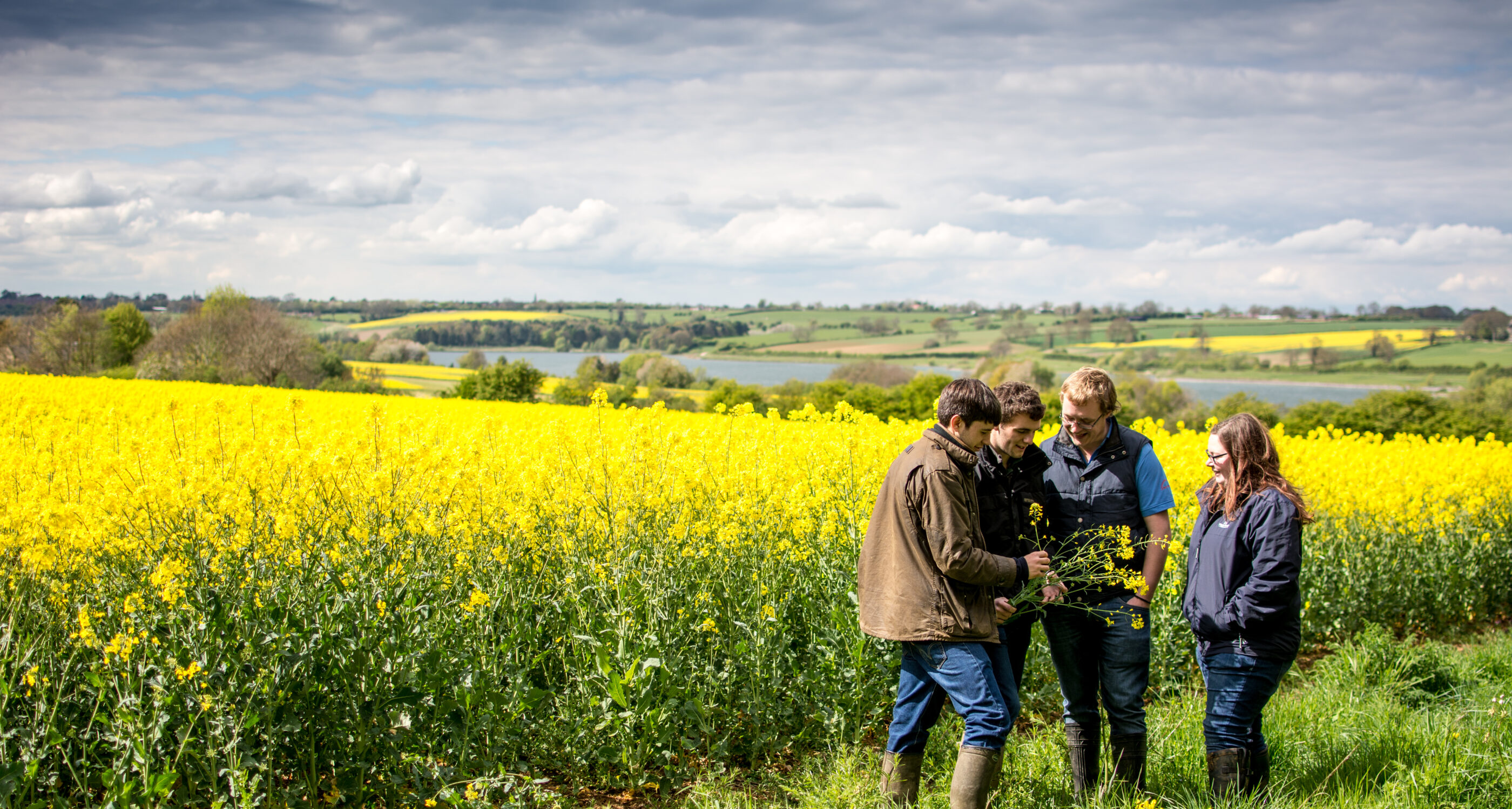 Students in field examining crop