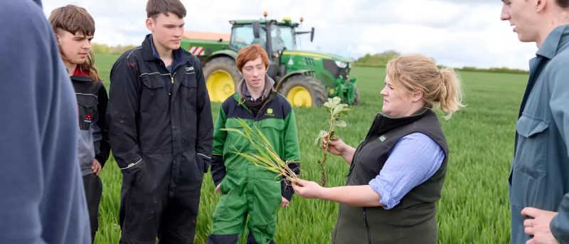 Agriculture students and tutor looking at crops with tractor in background
