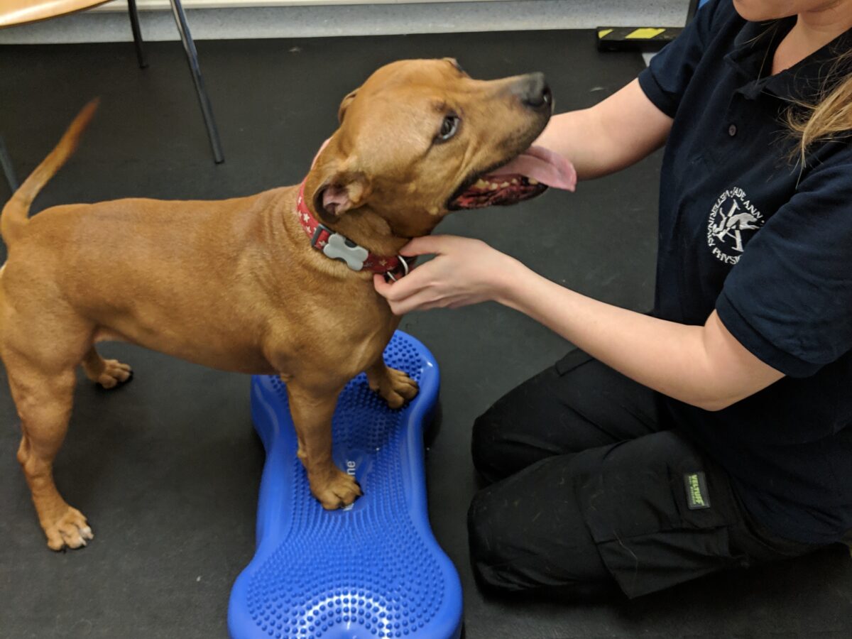 Dec having physio check up