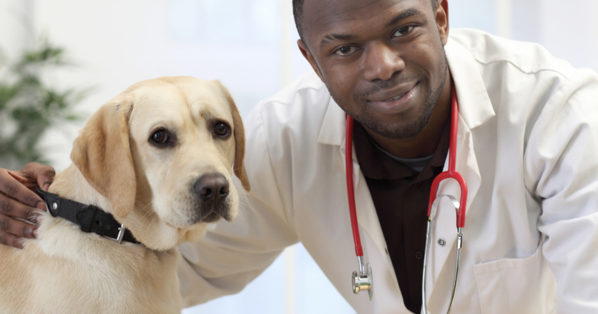 Animal care worker | Moulton College Animal care worker | Moulton College