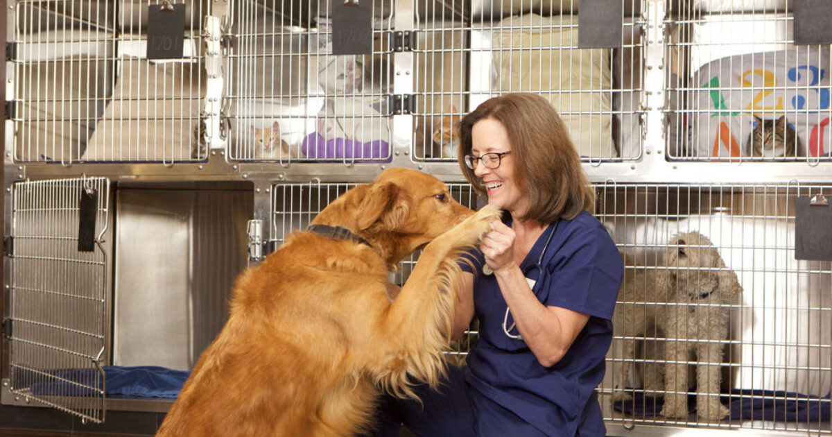 Kennel worker Moulton College