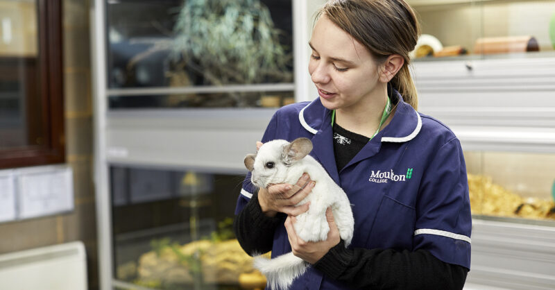Animal Care | Moulton College Animal Care | Moulton College