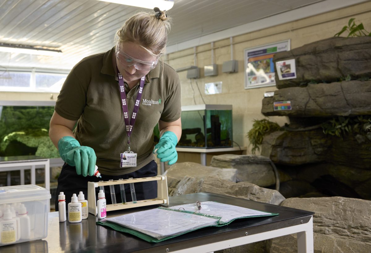 animal welfare aquatic room