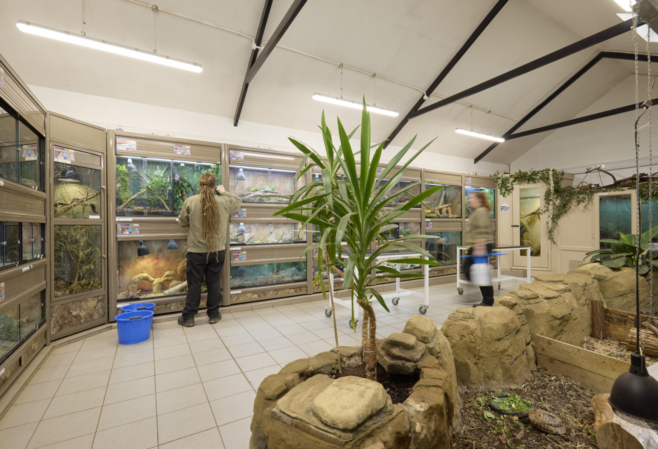 Animal welfare centre reptile room