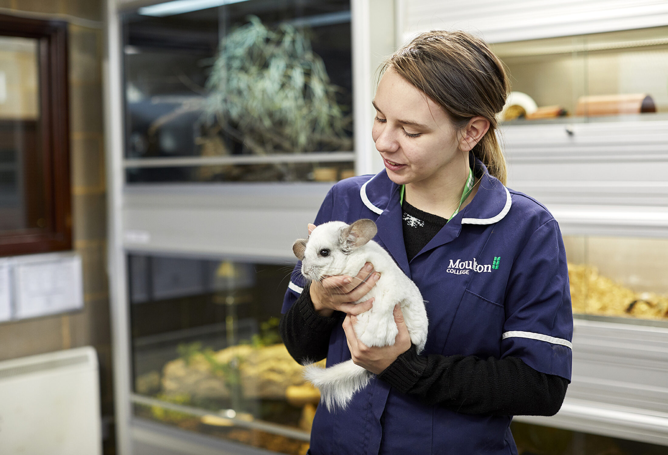 Moulton College Animal Welfare
