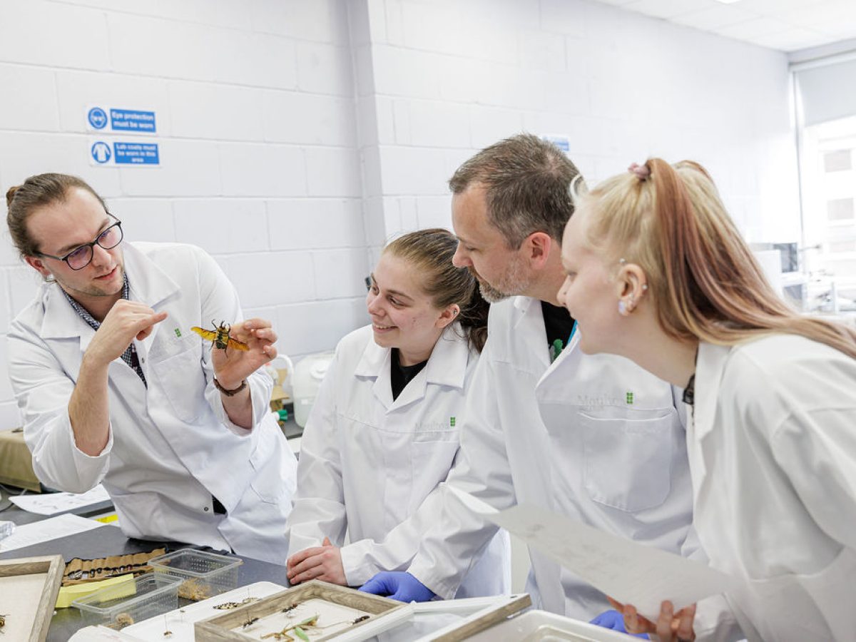 Three students wearing white laboratory coats looking at a tutor holding an insect specimen