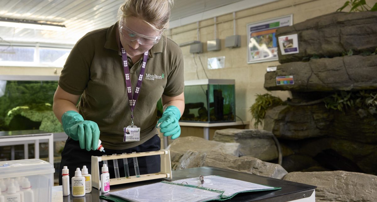 animal welfare aquatic room