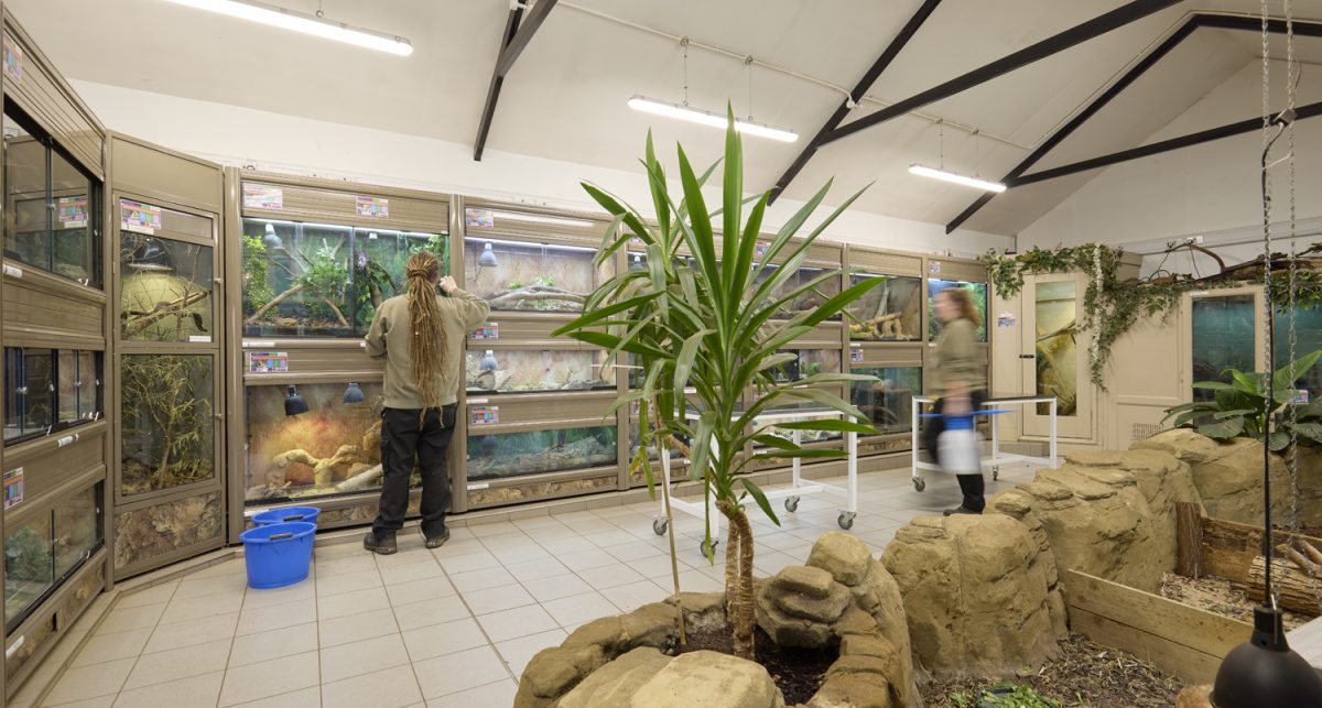 Animal welfare centre reptile room