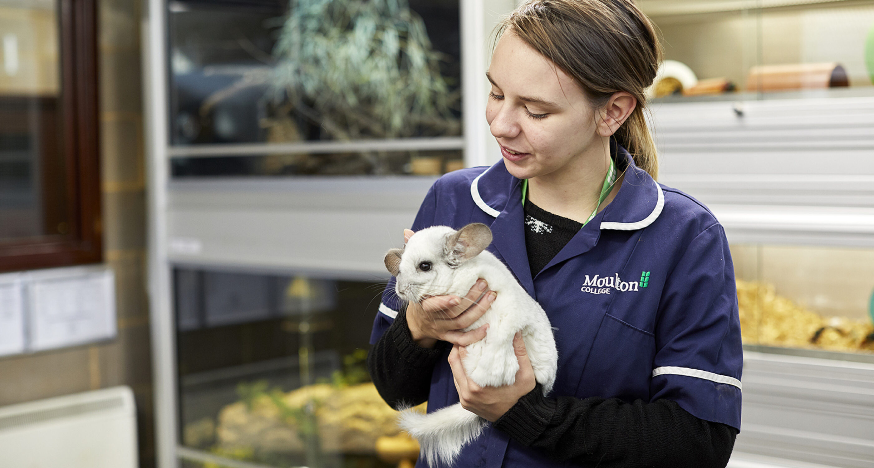 Moulton College Animal Welfare