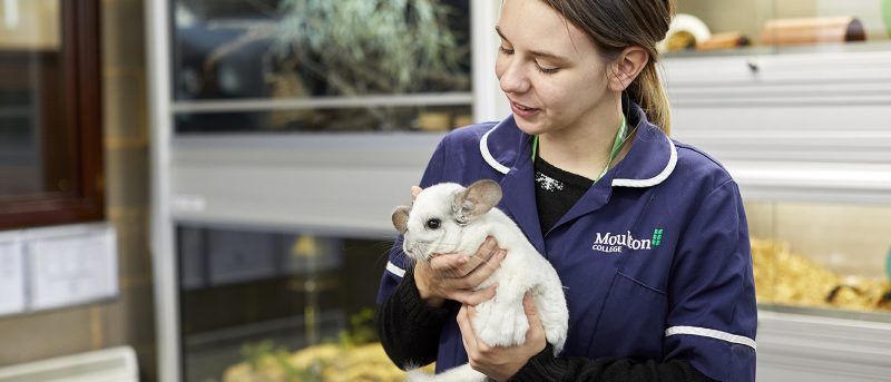 Moulton College Animal Welfare