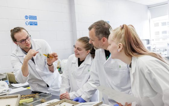 Three students wearing white laboratory coats looking at a tutor holding an insect specimen