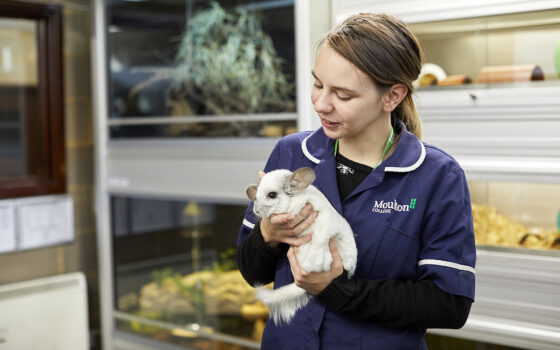 Moulton College Animal Welfare