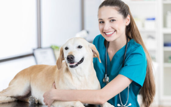 Animal care worker | Moulton College