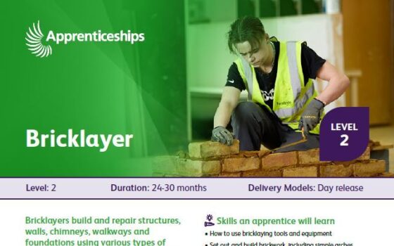 Bricklayer L2