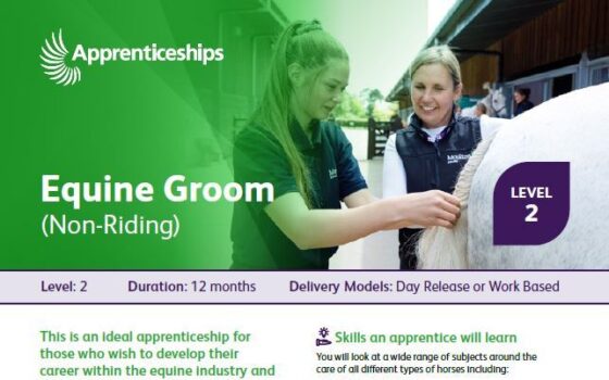 Equine Groom L2