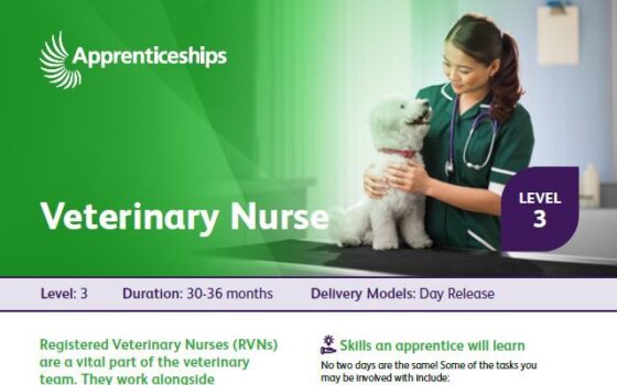 Vet nursing