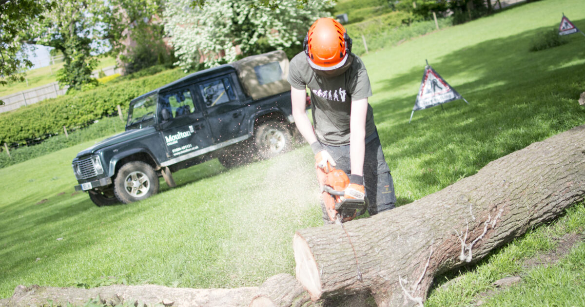 T Level in Tree & Woodland Management & Maintenance… Moulton College