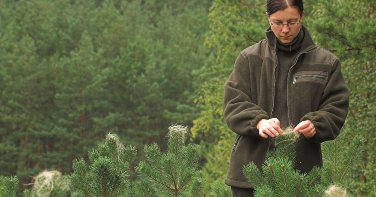 Forest officer Moulton College