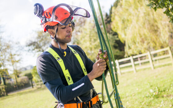 Moulton College Forestry and Arboriculture