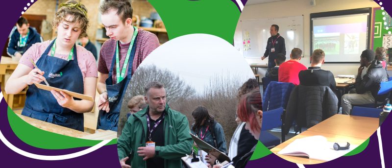 Transition day promo