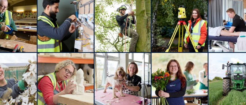 Discovery Skills Website Home page banner