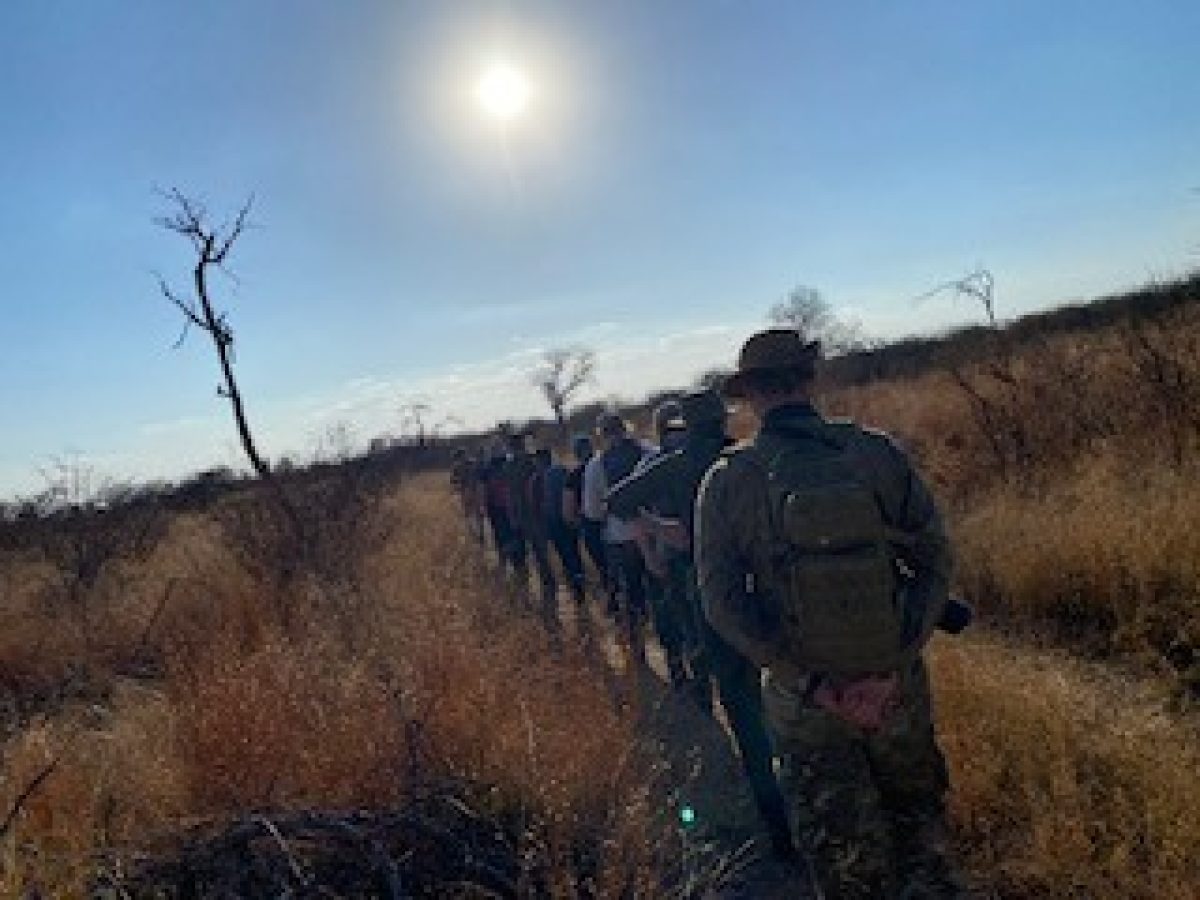 Bush walk in South Africa