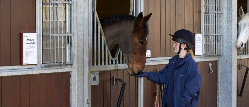 Moulton College Equine Course