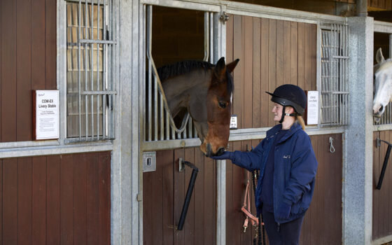 Moulton College Equine Course