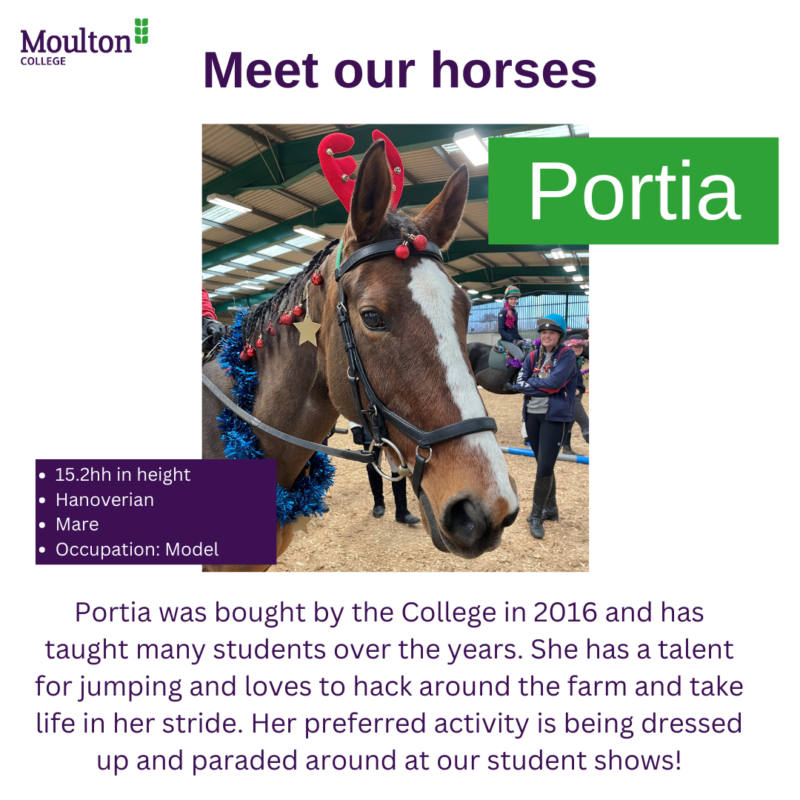 Portia