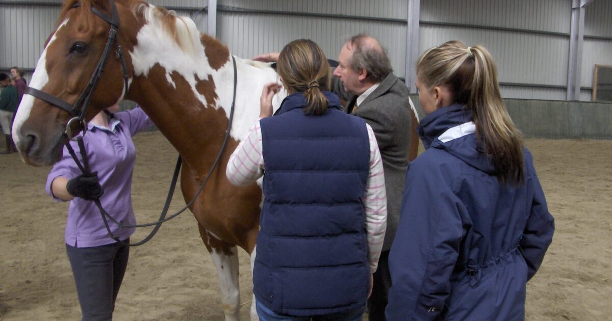 Saddle Fitter Moulton College