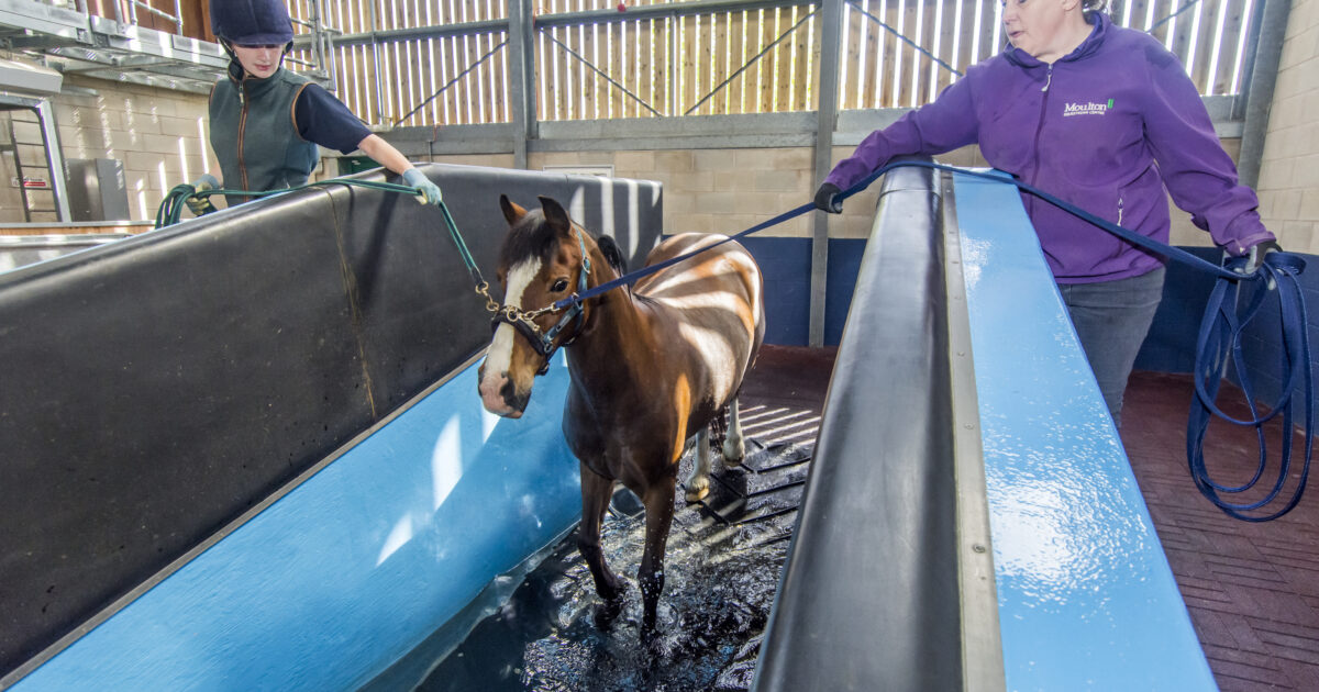 Moulton College Equipment & Services