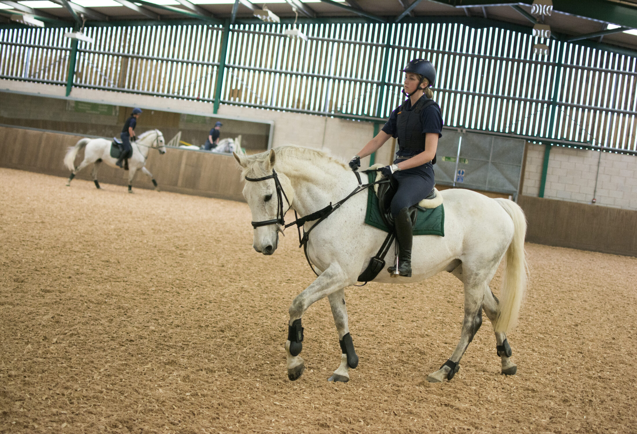 Moulton College Indoor Arena Equine