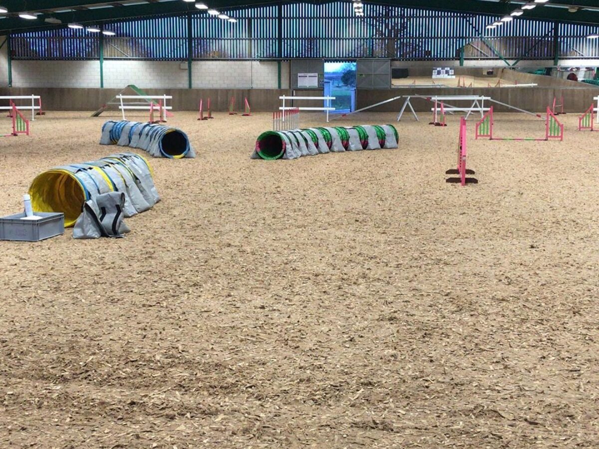 Dog Agility