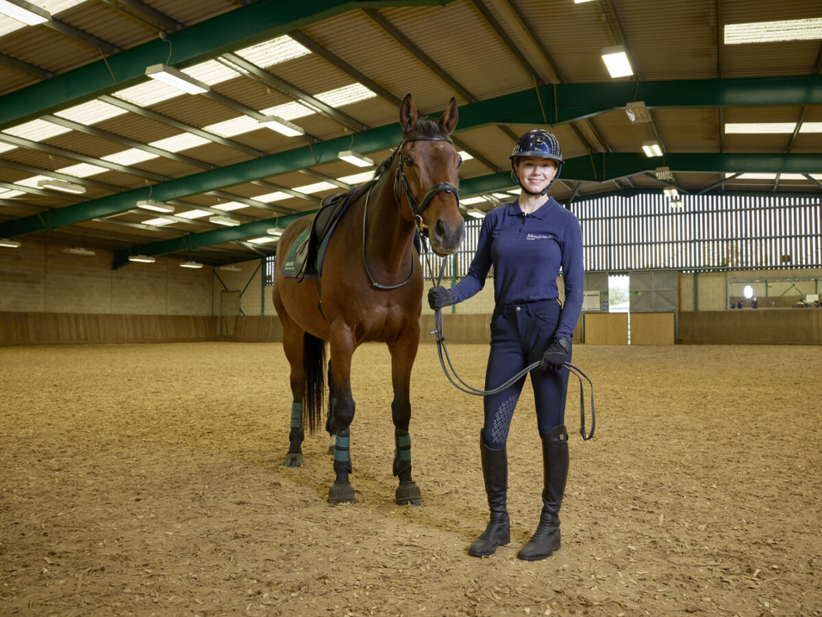 Student holding a bay horse in the indoor arena