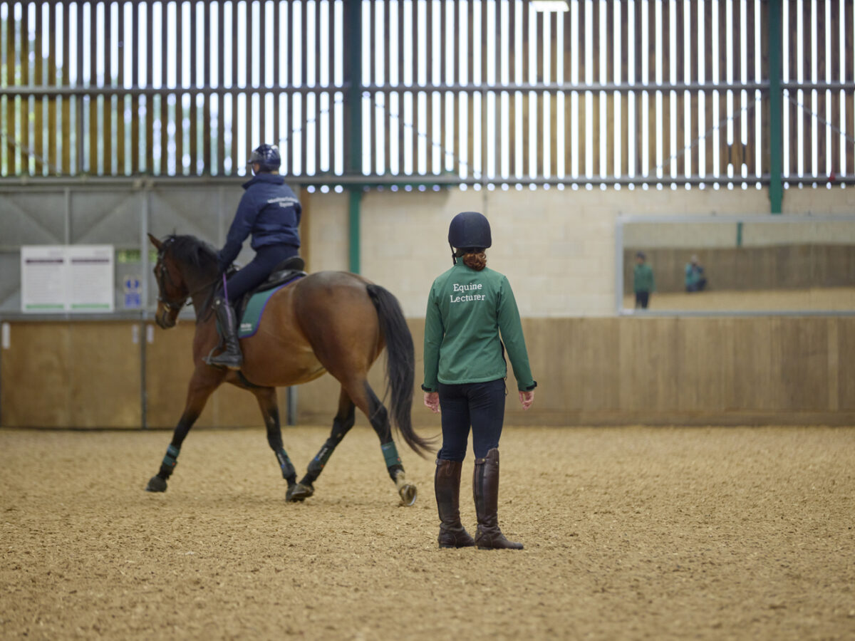 Student riding a bay horse in the indoor arena with coach watching