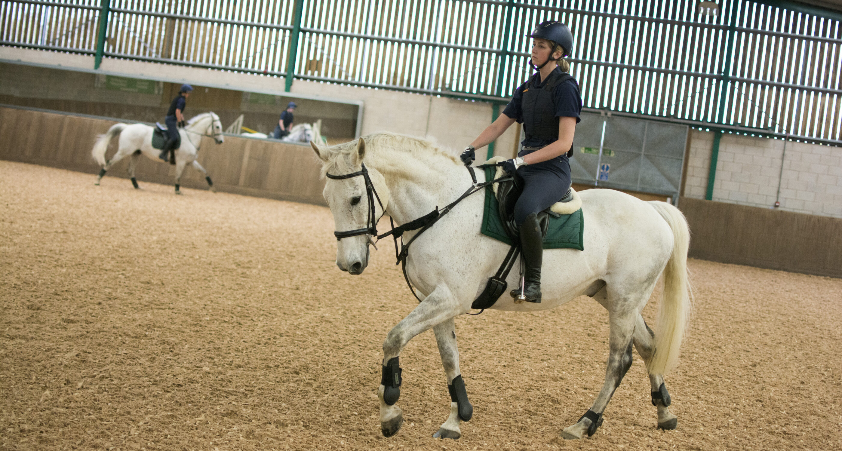 Moulton College Indoor Arena Equine