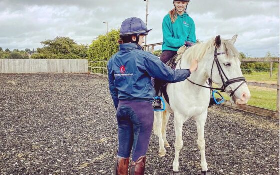 Equine Coaching