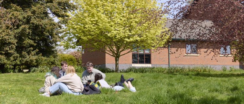 Students sitting on grass in the sun
