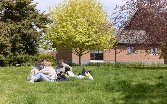 Students sitting on grass in the sun
