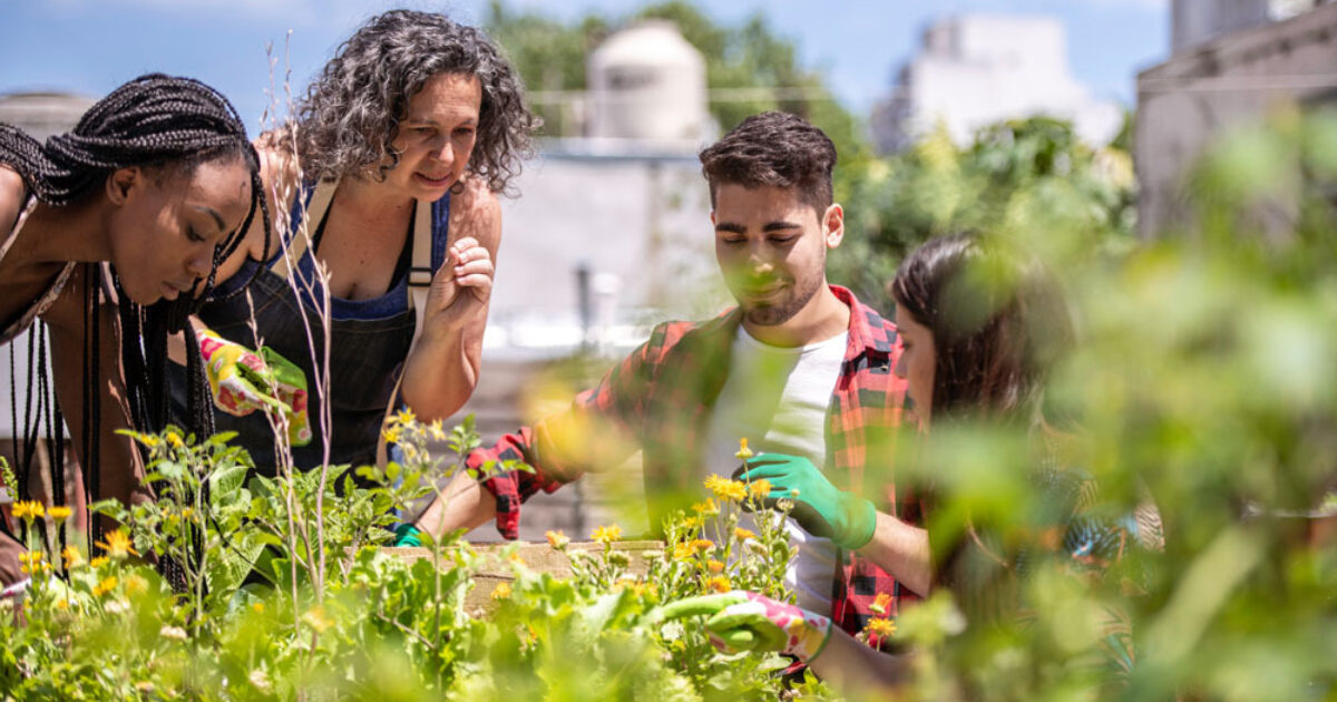Horticultural therapy jobs uk