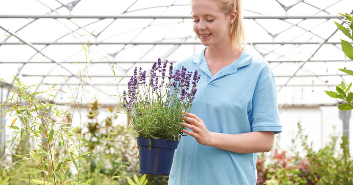 Garden nursery assistant Moulton College