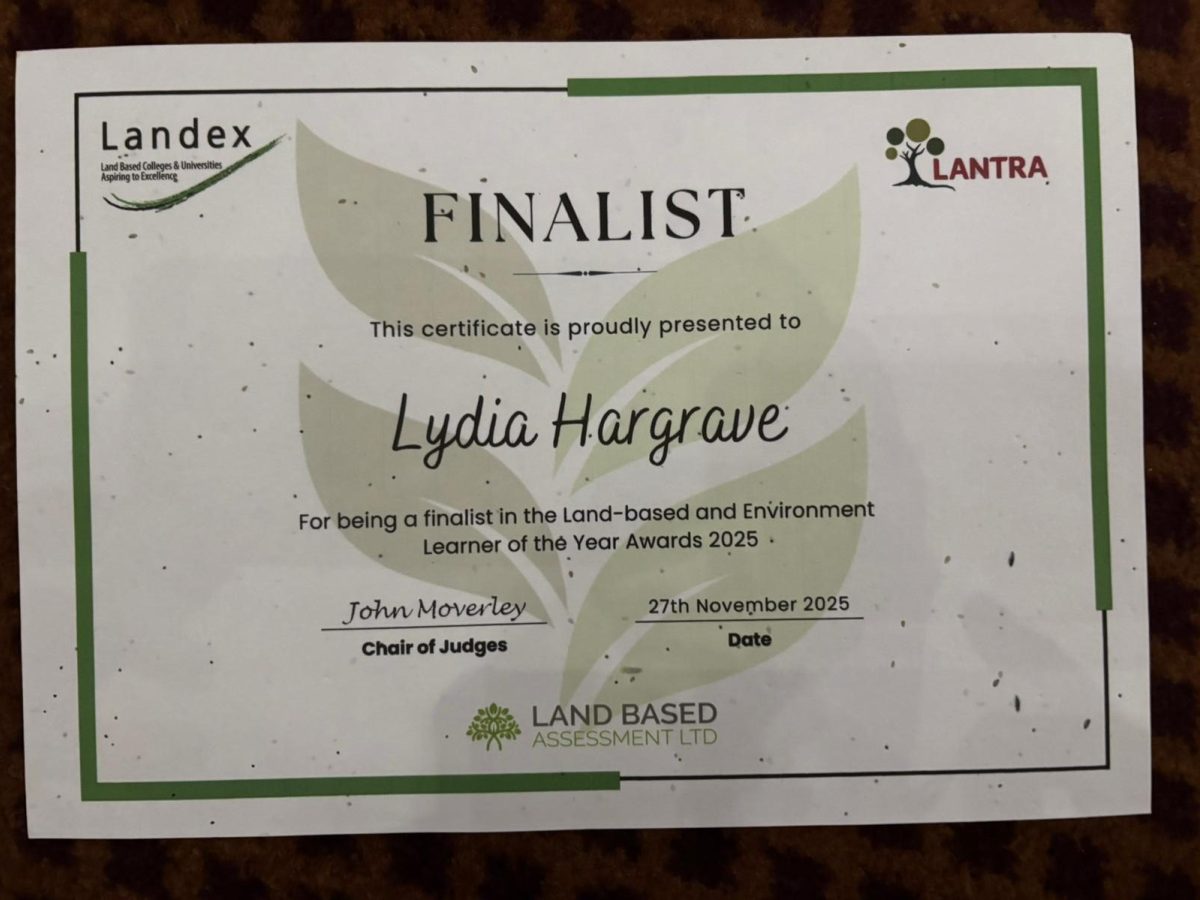 Lydia's certificate of recognition