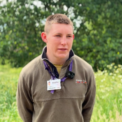 Screenshot 2025 08 12 154335