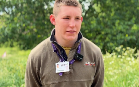 Screenshot 2025 08 12 154335