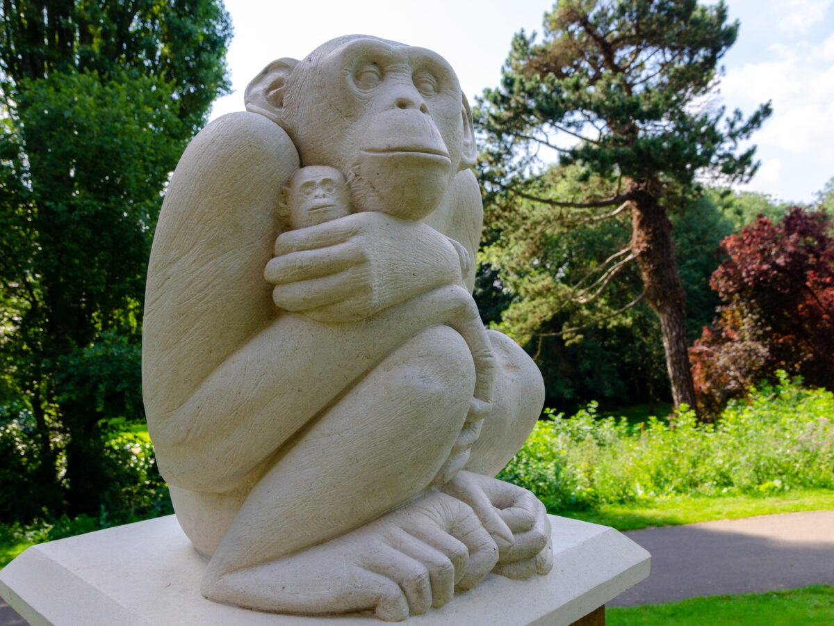 Chimpanzee sculpture